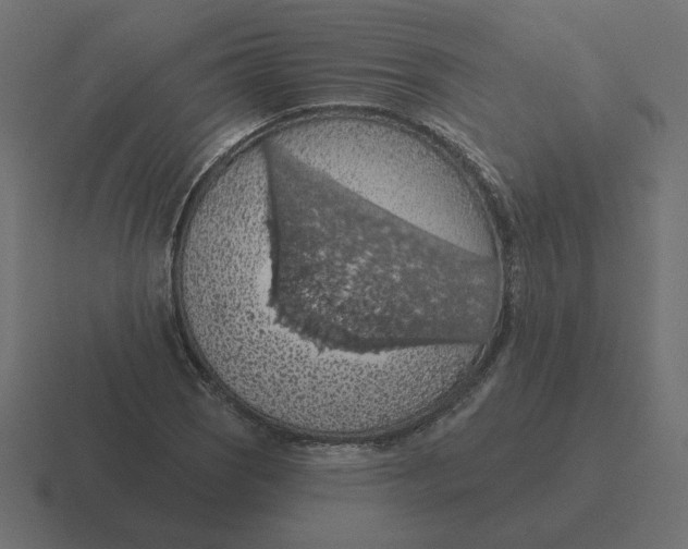 X0000116511121200912292139