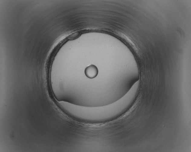 X0000116511122200912292139