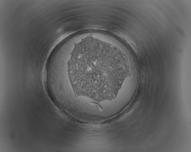 X0000116511125200912292139