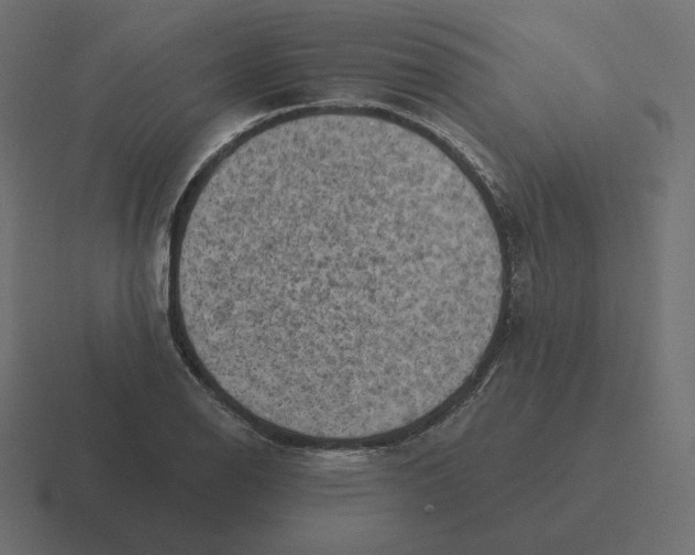 X0000116511126200912292139