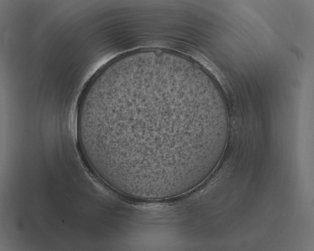 X0000116511127200912292139