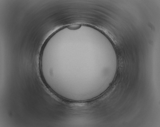 X0000116511134200912292139