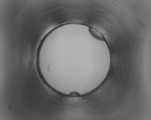 X0000116511135200912292139