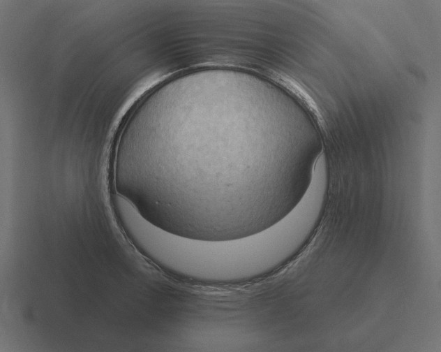 X0000116511138200912292139