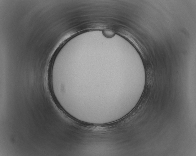 X0000116511139200912292139