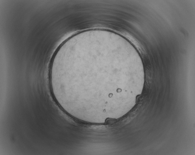 X0000116511142200912292139