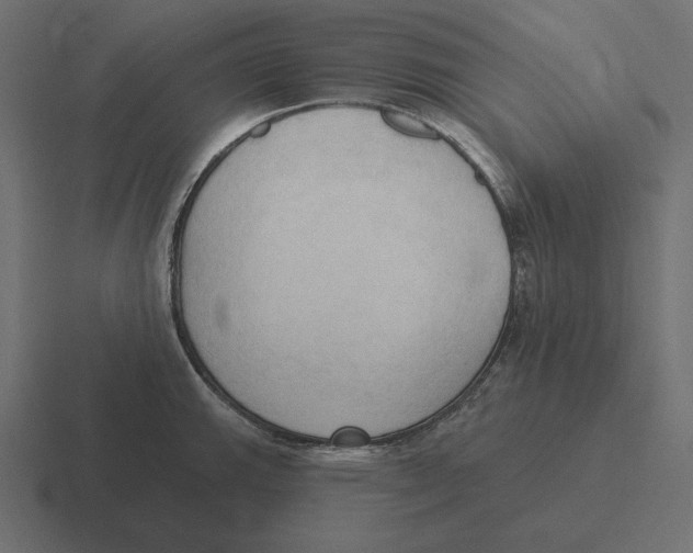 X0000116511143200912292139