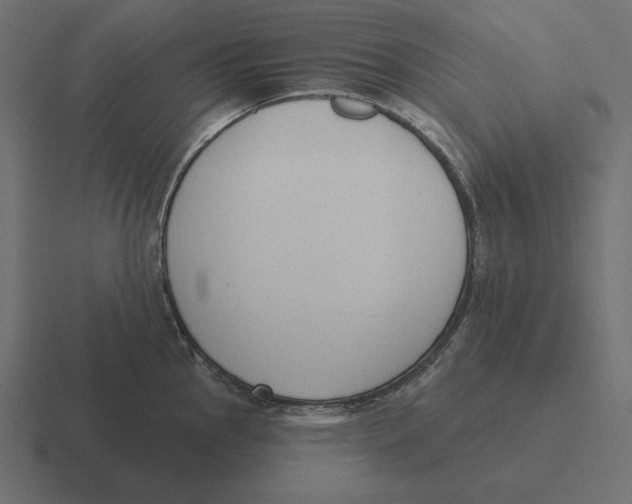 X0000116511145200912292139