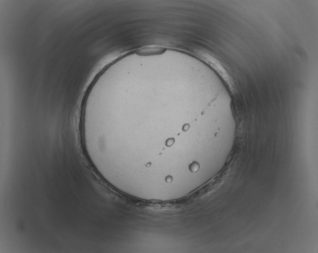 X0000116511146200912292139