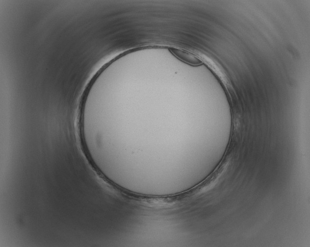 X0000116511149200912292139