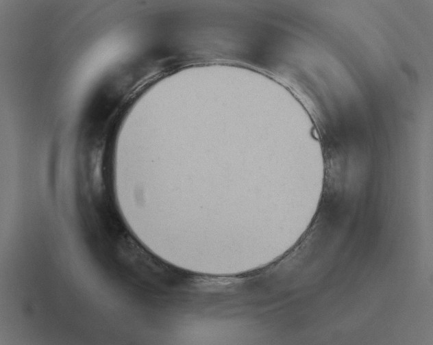 X0000116511150200912292139