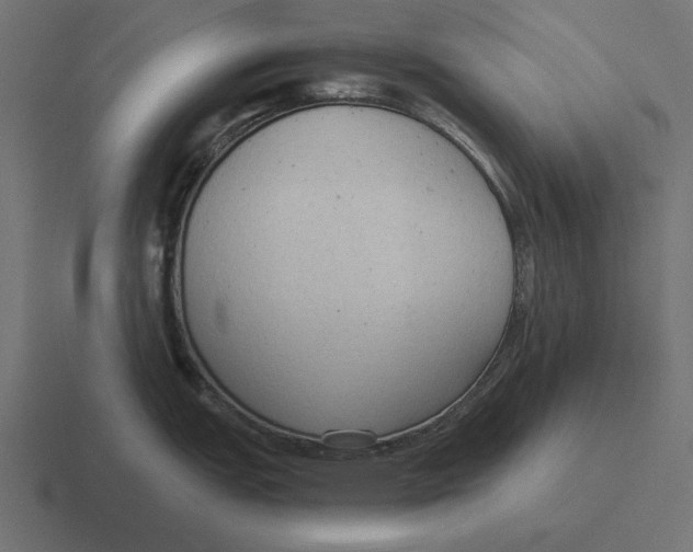 X0000116511151200912292139