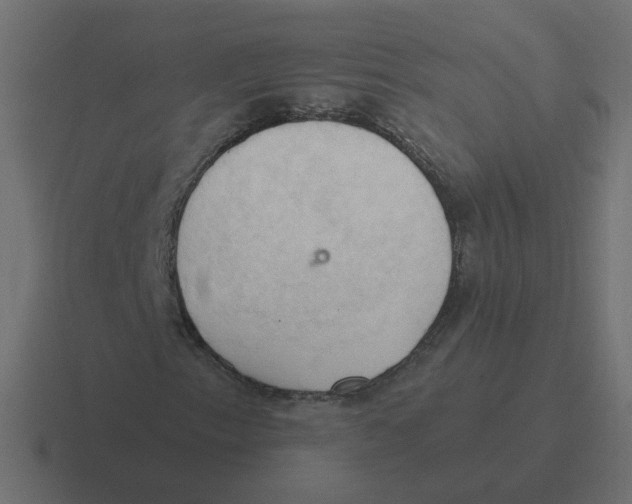 X0000116511153200912292139