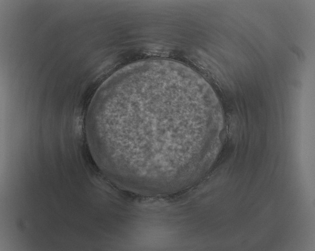 X0000116511154200912292139