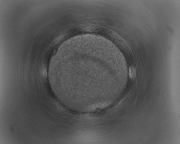 X0000116511155200912292139