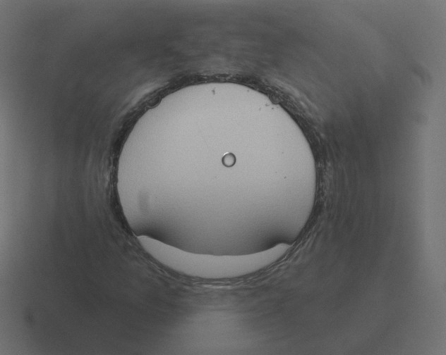 X0000116511157200912292139