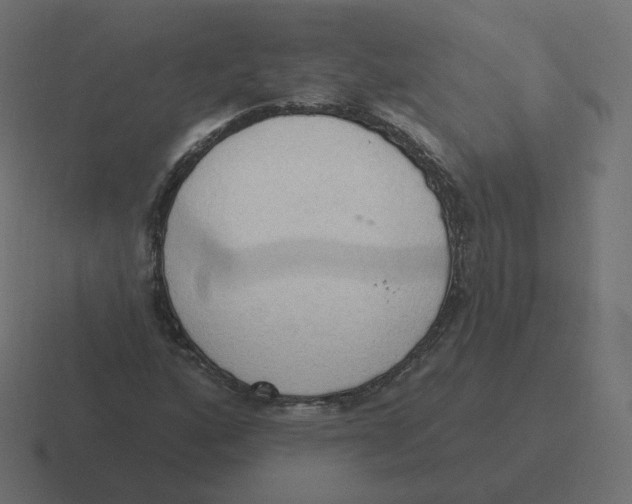 X0000116511160200912292139