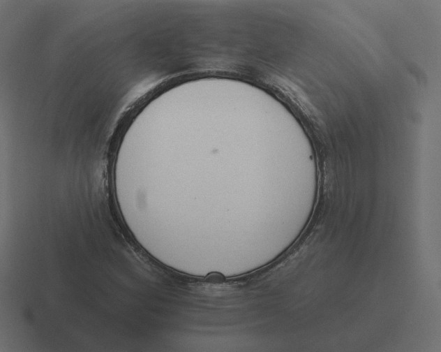 X0000116511164200912292138