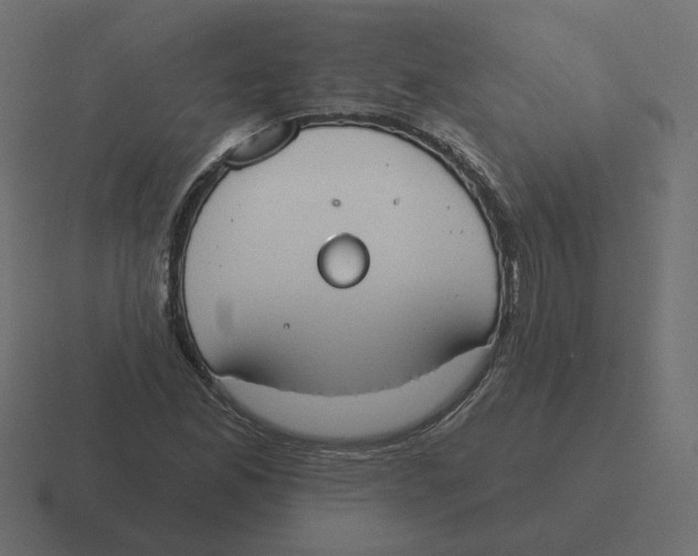 X0000116511165200912292138