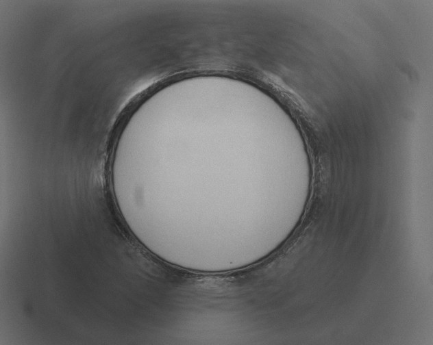 X0000116511166200912292138