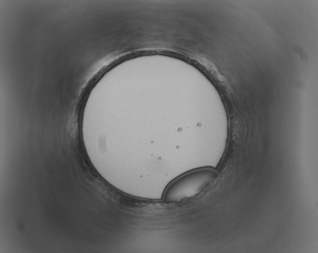 X0000116511167200912292138