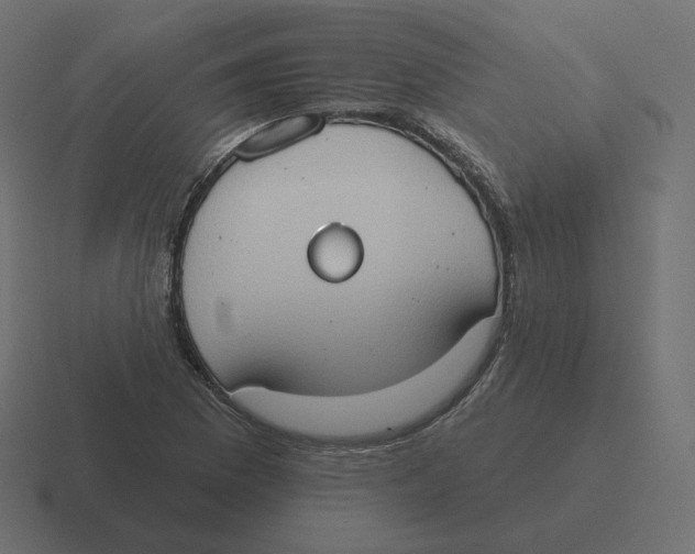 X0000116511169200912292138