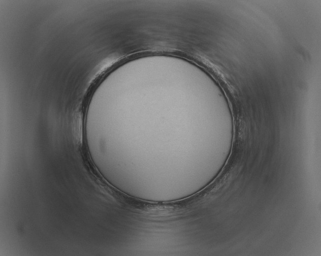 X0000116511171200912292138