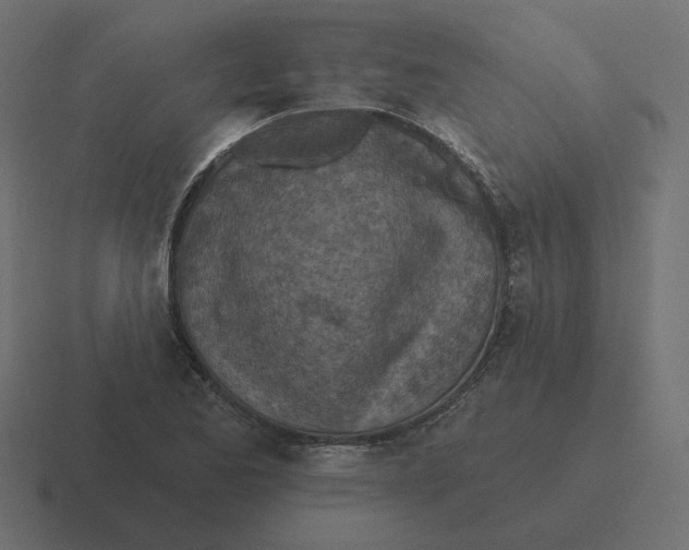 X0000116511173200912292138