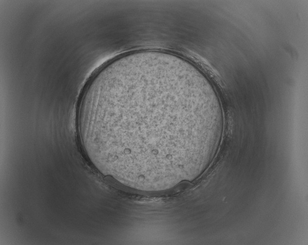 X0000116511174200912292138