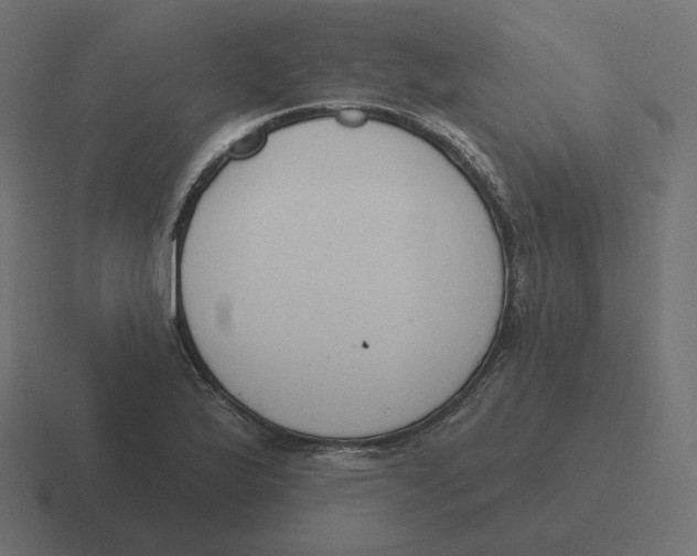 X0000116511175200912292138