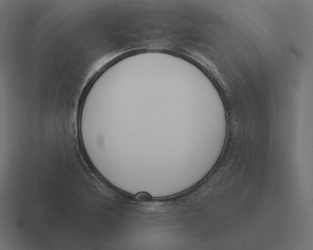 X0000116511176200912292138