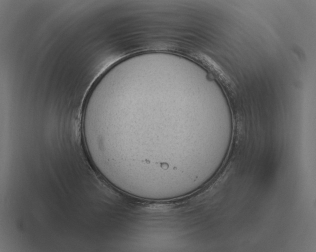 X0000116511178200912292138