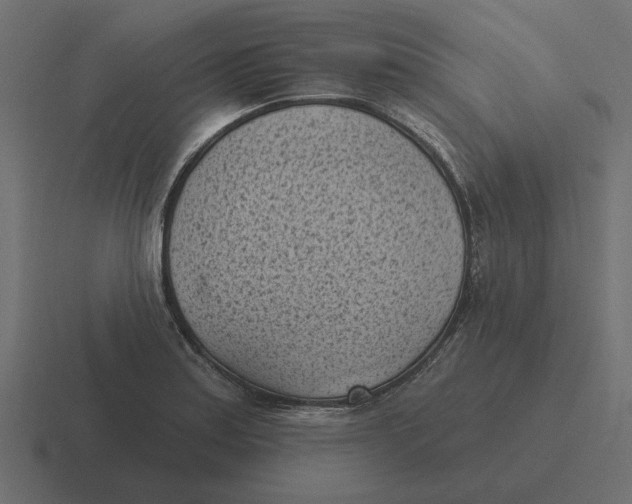 X0000116511179200912292138