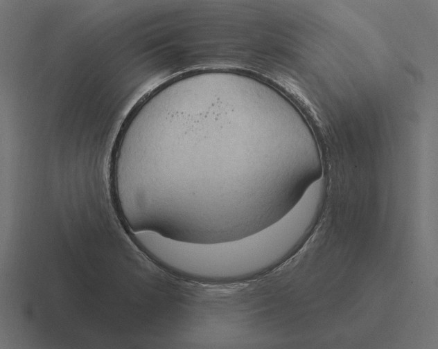 X0000116511181200912292138