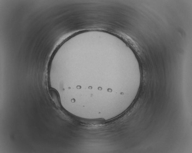 X0000116511184200912292138