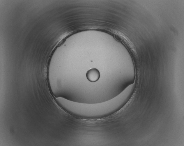 X0000116511185200912292138