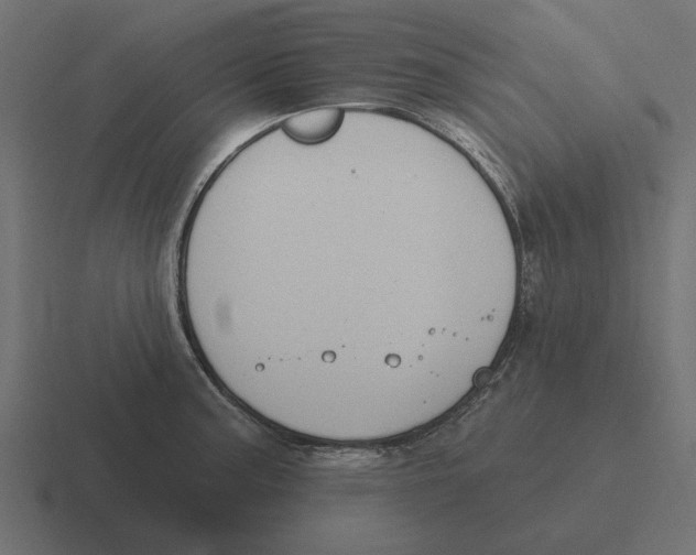 X0000116511187200912292138