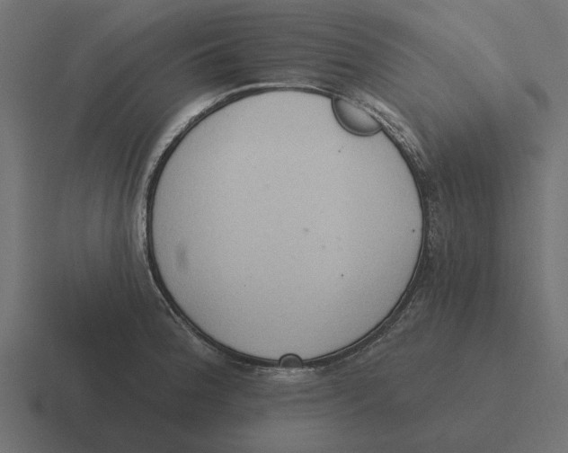 X0000116511188200912292138