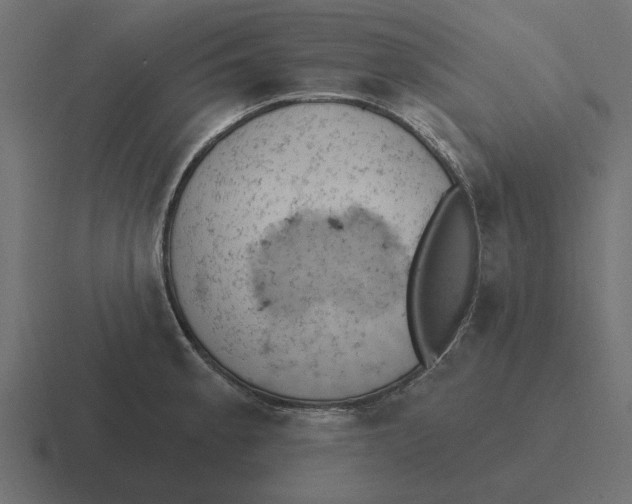 X0000116511189200912292138