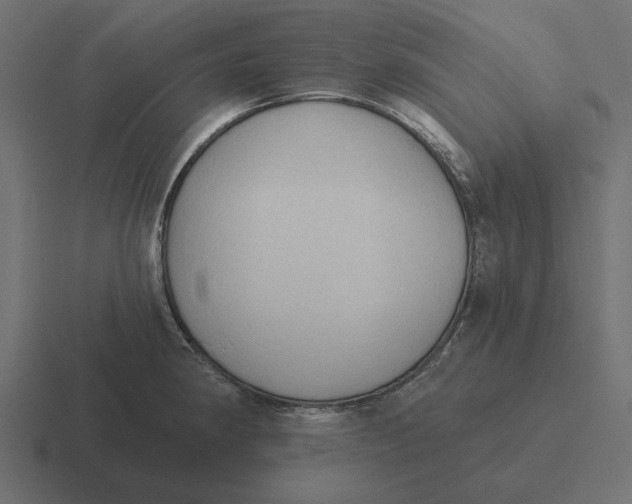 X0000116511190200912292138