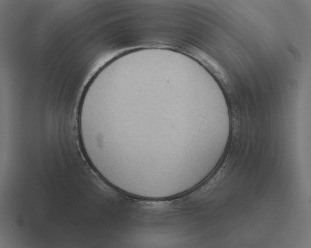 X0000116511192200912292138