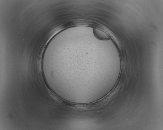 X0000116511194200912292138