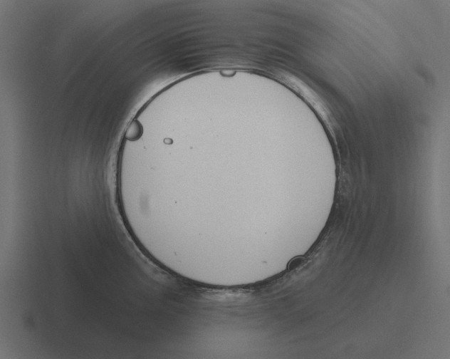 X0000116511195200912292138