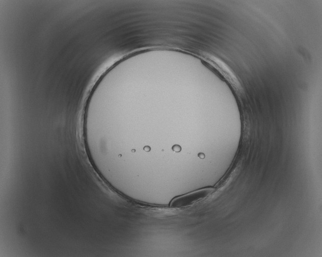 X0000116511196200912292138