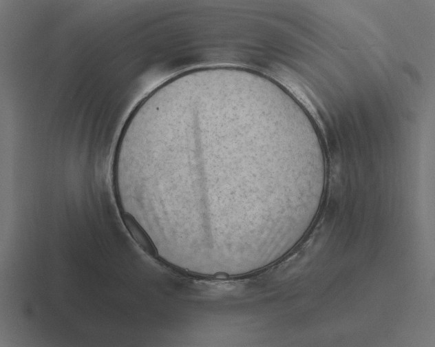 X0000116511197200912292138