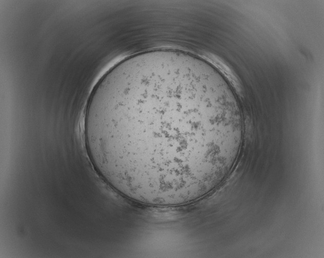 X0000116511198200912292138