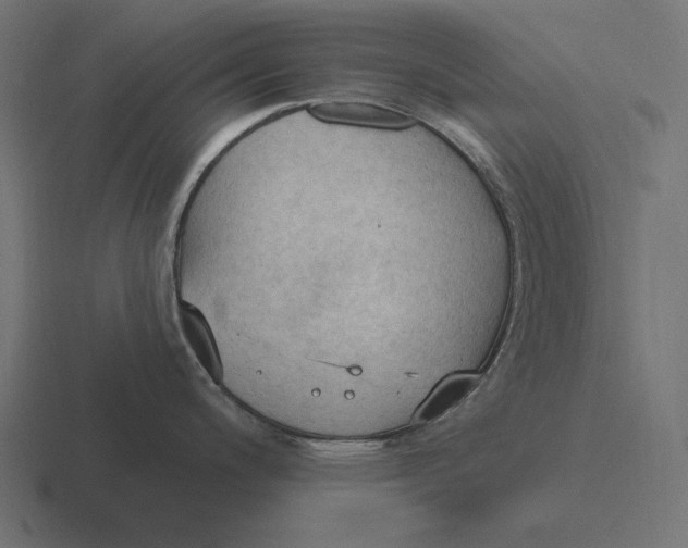 X0000116511200200912292138