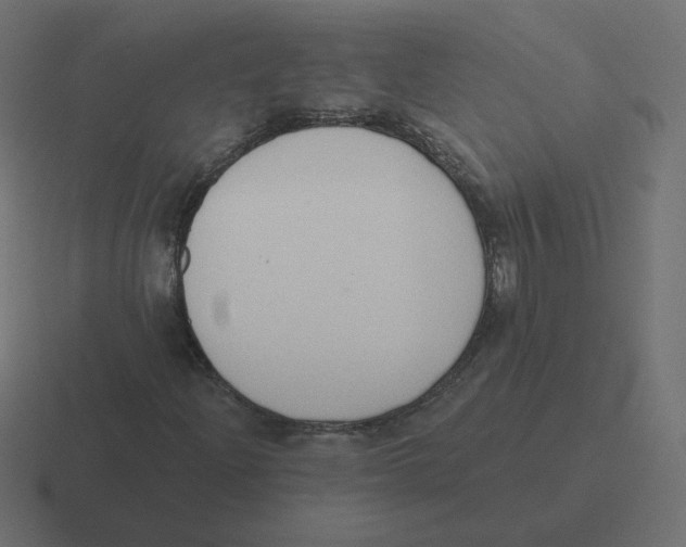 X0000116511204200912292137