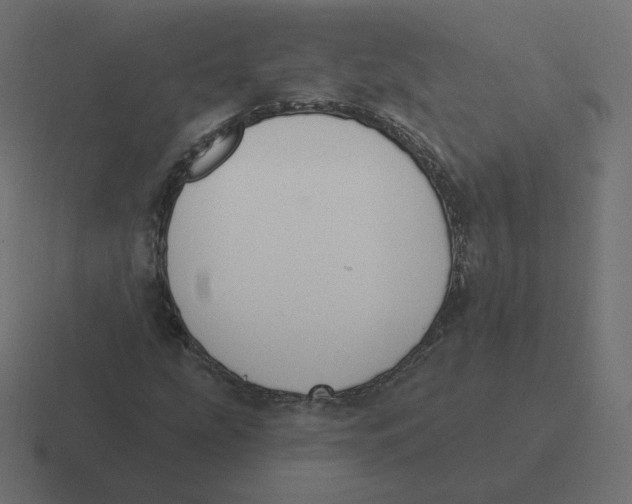 X0000116511207200912292137