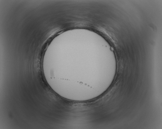 X0000116511211200912292138